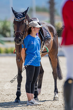 FEI Junior European Championship Young Riders, Juniors & Childre
