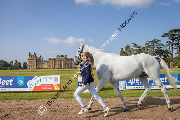 Blenheim Palace International Horse Trials