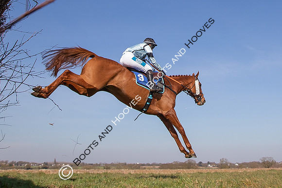 Newmarket
