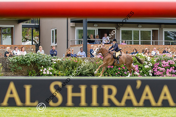 The Agria Royal International Horse Show