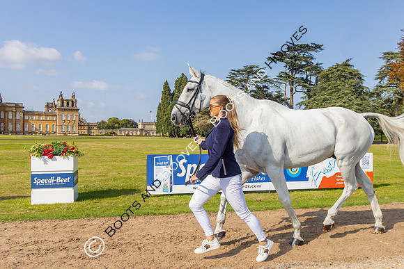 Blenheim Palace International Horse Trials