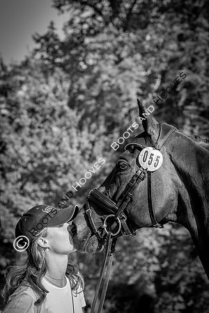 Blenheim Palace International Horse Trials