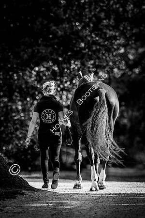 Blenheim Palace International Horse Trials