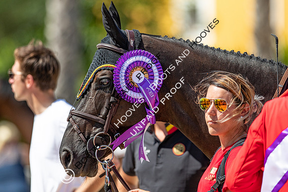 FEI Junior European Championship Young Riders, Juniors & Childre