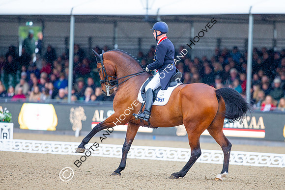 Royal Windsor Horse Show