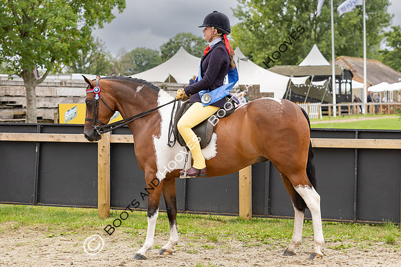 The Royal International Horse Show