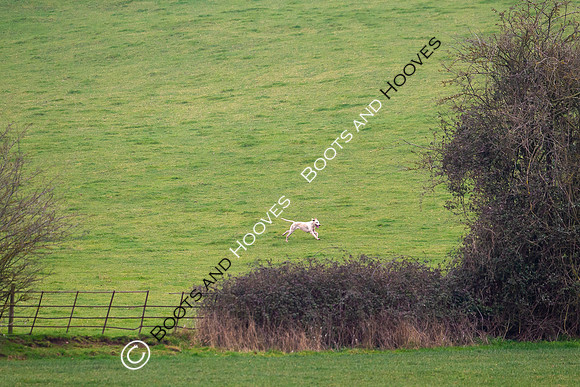 The Ledbury Hunt