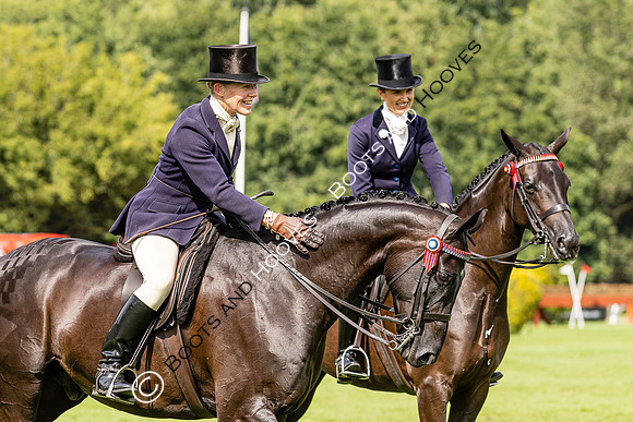 The Agria Royal International Horse Show