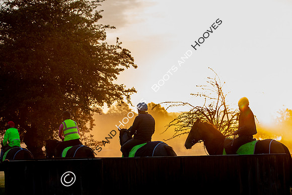Newmarket