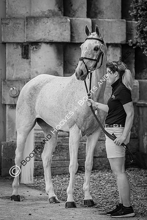 Badminton Horse Trials