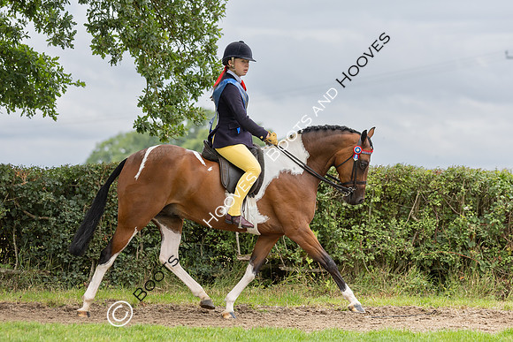 The Royal International Horse Show