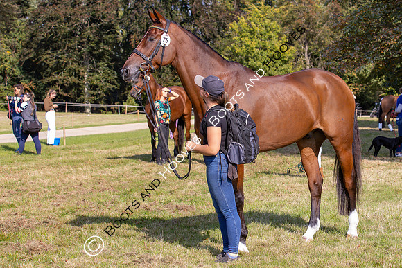 Blenheim Palace International Horse Trials
