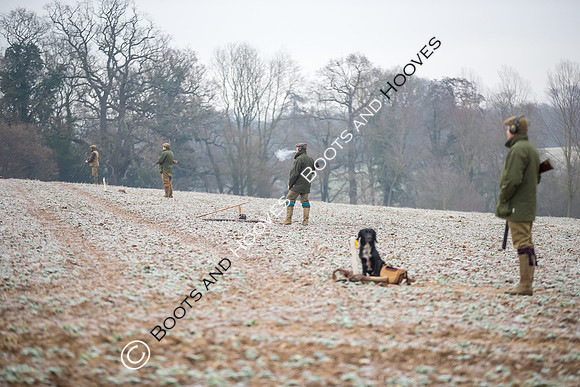 Dines Hall Game Shoot. 23/01/2019 ~ MANDATORY Credit Nick Gunn/Bootsandhooves - NO UNAUTHORISED USE - 07745 909676