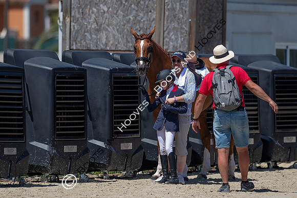FEI Junior European Championship Young Riders, Juniors & Childre