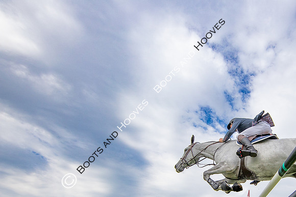 The Agria Royal International Horse Show