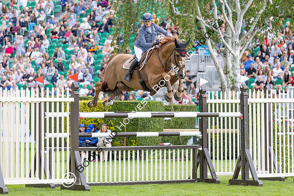 The Agria Royal International Horse Show