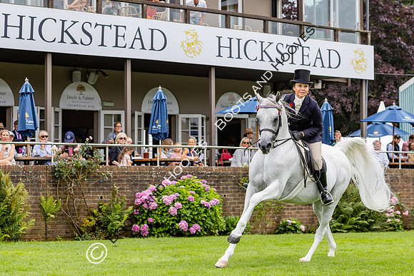 The Agria Royal International Horse Show