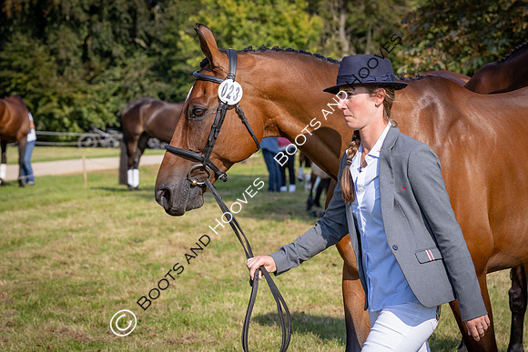 Blenheim Palace International Horse Trials