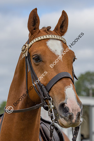 Royal Windsor Horse Show