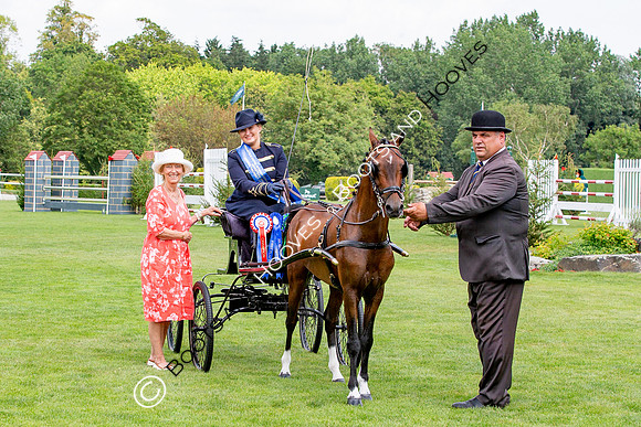 The Prenetics Royal International Horse Show