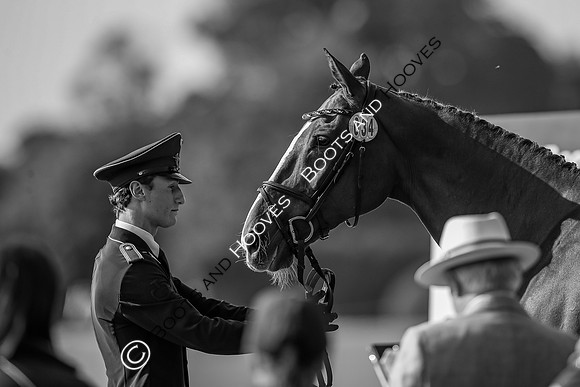 Blenheim Palace International Horse Trials