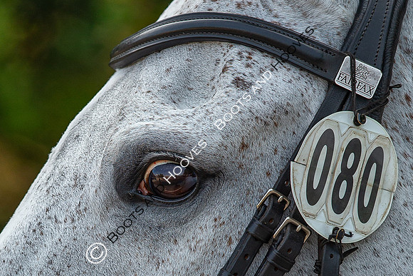 Badminton Horse Trials