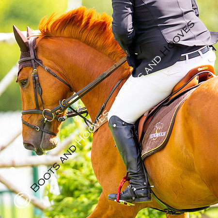 Showjumping