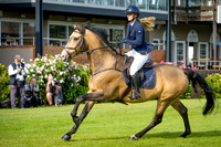 The Al Shira'aa Hickstead Derby Meeting