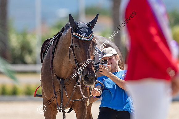 FEI Junior European Championship Young Riders, Juniors & Childre