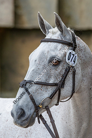 Badminton Horse Trials