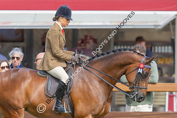 Royal Windsor Horse Show