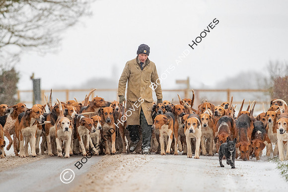 Hound Exercise