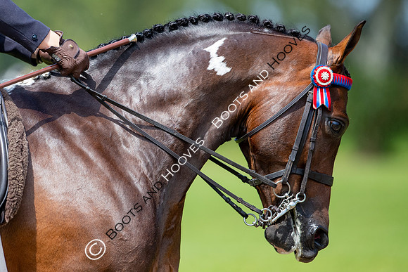 The Prenetics Royal International Horse Show