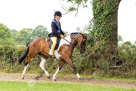 The Royal International Horse Show