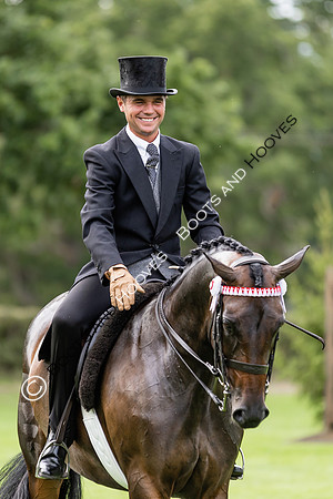 The Royal International Horse Show
