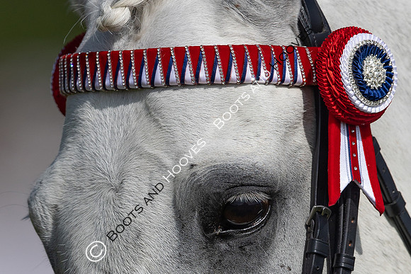 Royal Windsor Horse Show