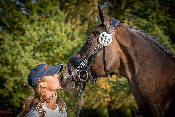 Blenheim Palace International Horse Trials