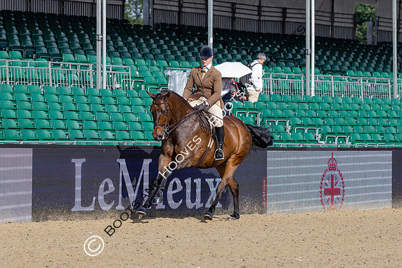 Royal Windsor Horse Show