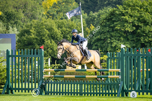 The Al Shira'aa Hickstead Derby Meeting