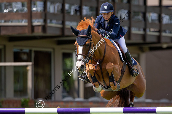 Showjumping