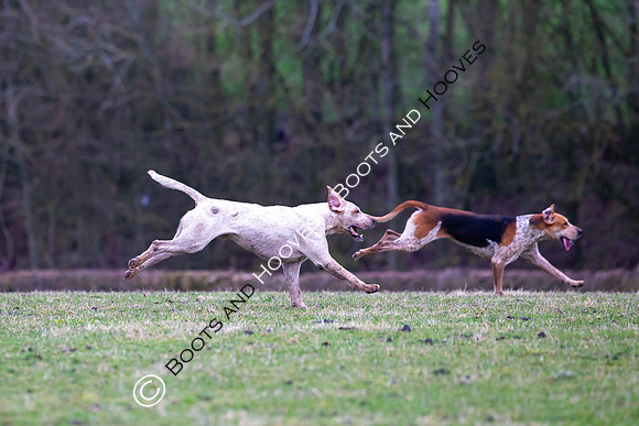 The Ledbury Hunt
