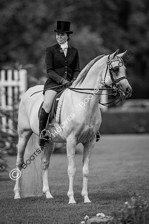 The AGRIA Royal International Horse Show