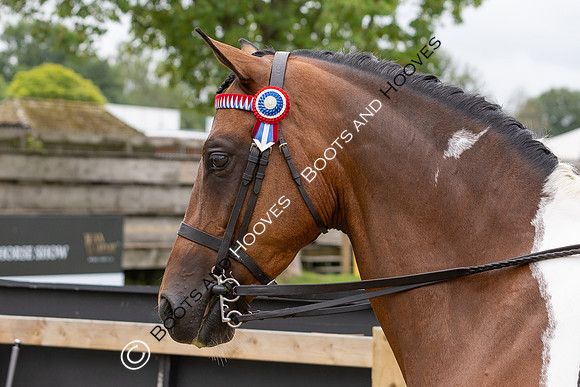 The Royal International Horse Show