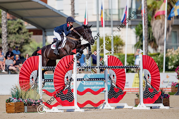 FEI Junior European Championship Young Riders, Juniors & Childre