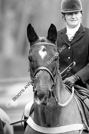 Easton Harriers. Hunting. 23/01/2019 ~ MANDATORY Credit Elli Birch/Bootsandhooves - NO UNAUTHORISED USE - 07745 909676