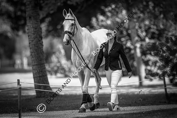 Blenheim Palace International Horse Trials