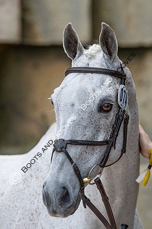 Badminton Horse Trials
