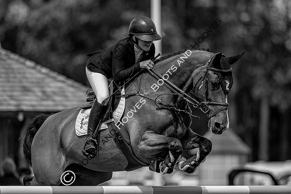 Showjumping