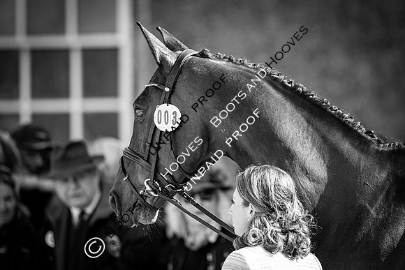 Badminton Horse Trials