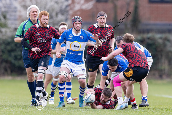 BSRFC v Royston